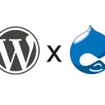 wordpress or drupal